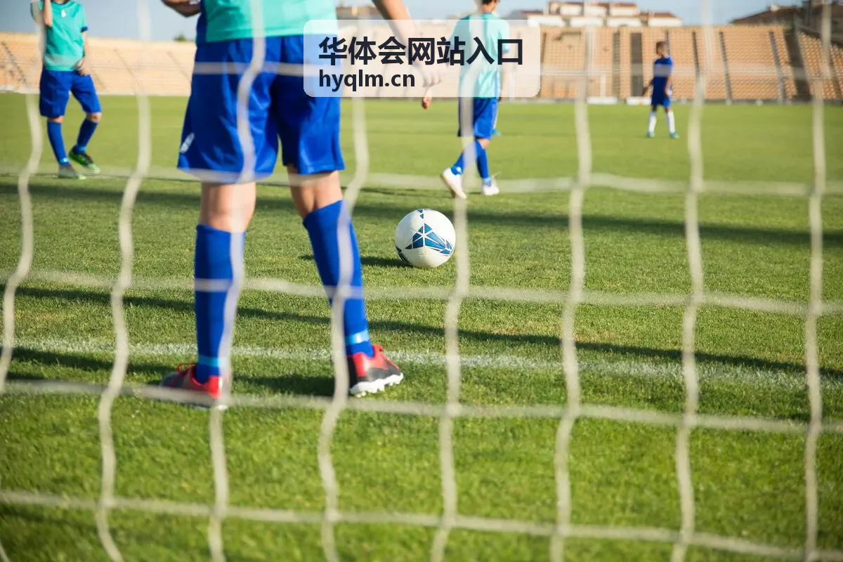 华体会网站入口平台界面示意图